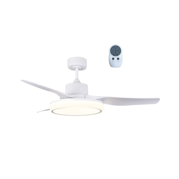 Ventilador de techo