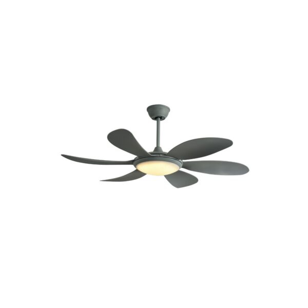 Ventilador de techo