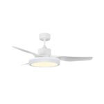 Ventilador de techo