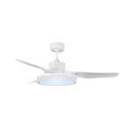 Ventilador de techo