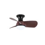 Ventilador de techo