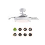 Ventilador de techo
