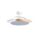 Ventilador de techo