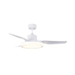 Ventilador de techo