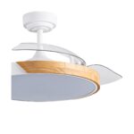 Ventilador de techo