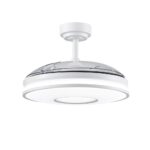 Ventilador de techo