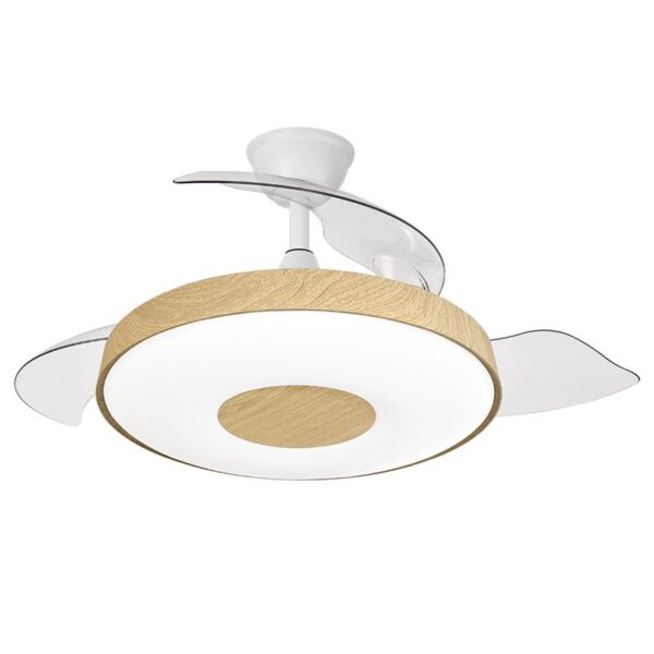 Ventilador de techo