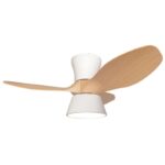 Ventilador de techo