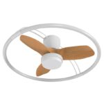 Ventilador de techo