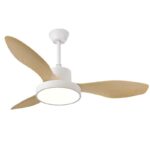 Ventilador de techo