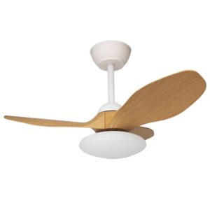 Ventilador de techo