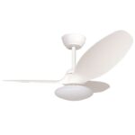 Ventilador de techo